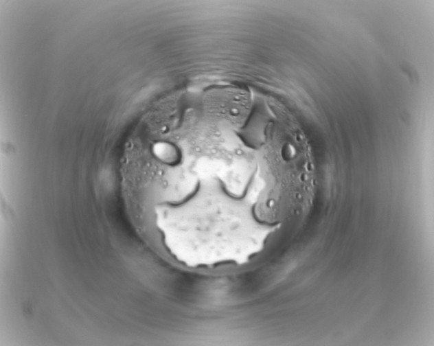 X0000091240131200708091442