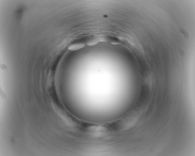 X0000091240133200708091442