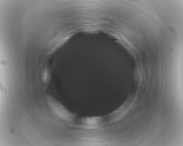 X0000091240134200708091442