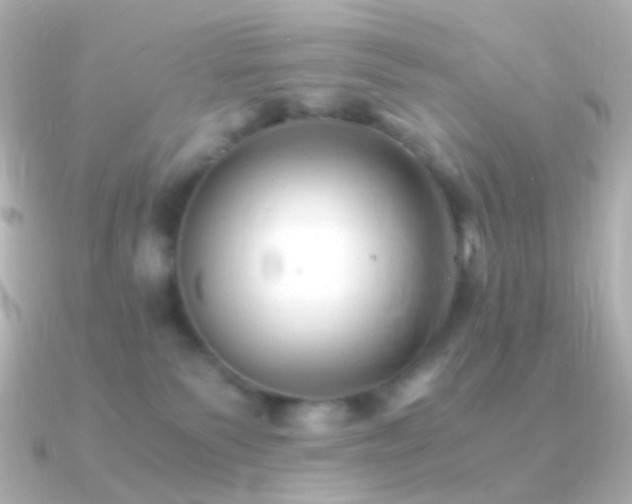X0000091240135200708091442