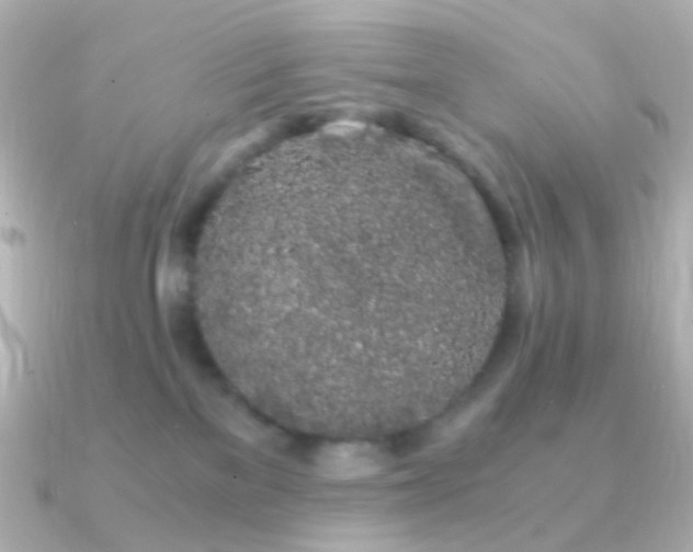 X0000091240137200708091442