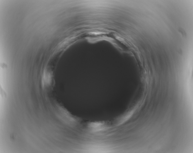 X0000091240139200708091442