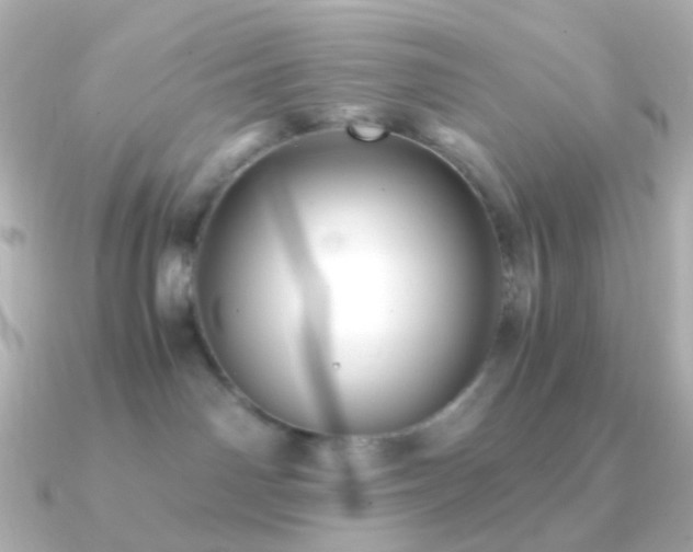 X0000091240142200708091442