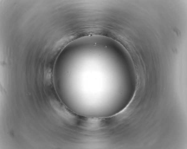X0000091240144200708091442