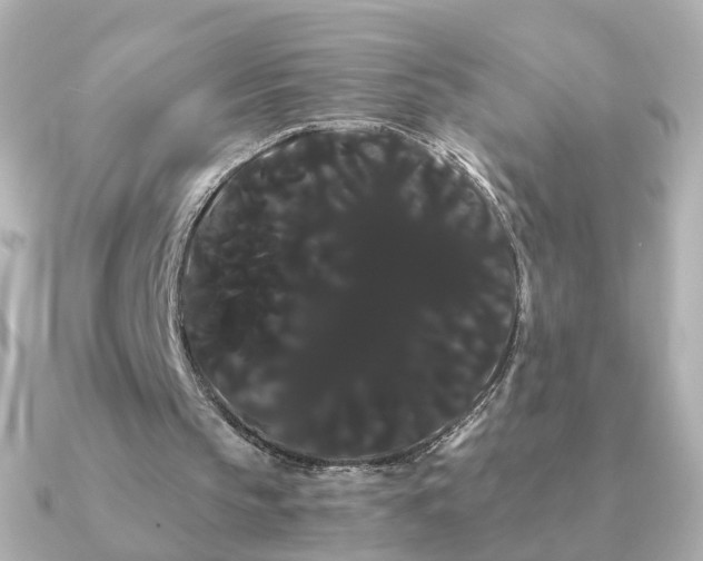X0000091240145200708091441