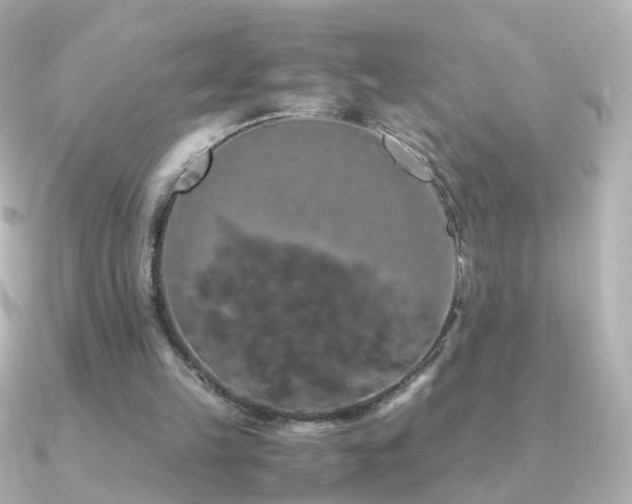 X0000091240149200708091441