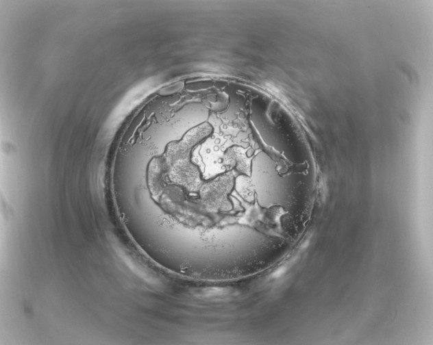 X0000091240151200708091441