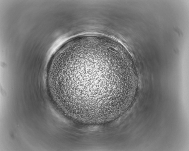 X0000091240152200708091441