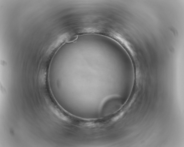 X0000091240153200708091441