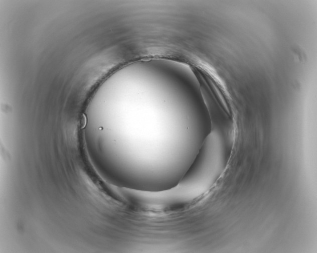 X0000091240154200708091441
