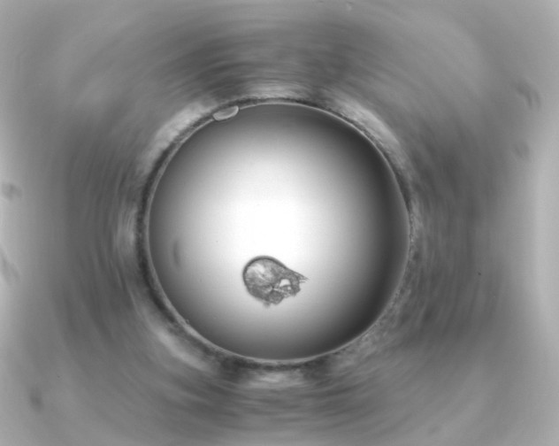X0000091240155200708091441