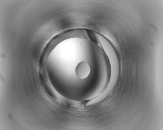 X0000091240156200708091441