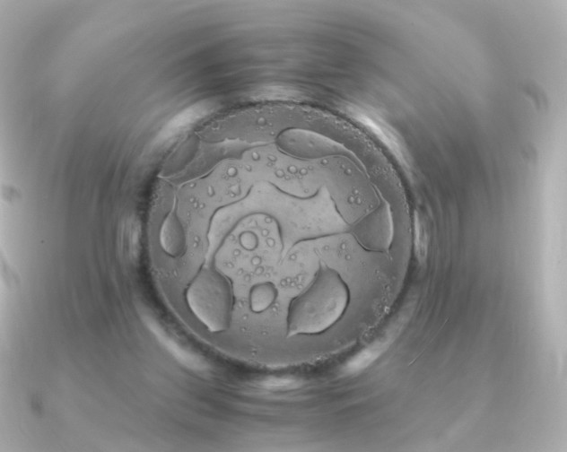 X0000091240157200708091441