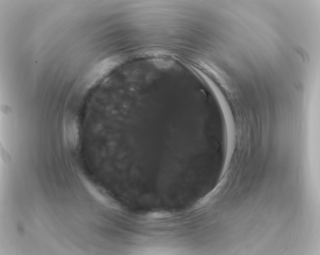 X0000091240158200708091441