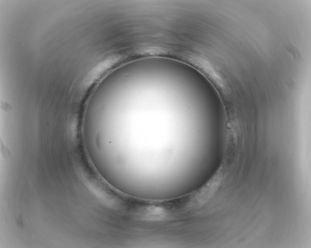 X0000091240159200708091441