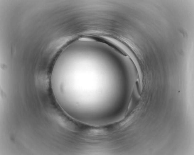 X0000091240160200708091441