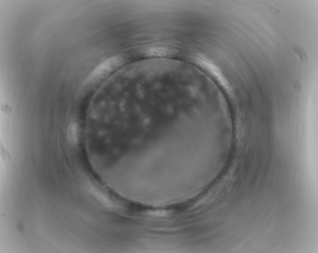 X0000091240161200708091441