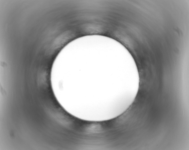 X0000091240162200708091441