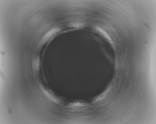 X0000091240163200708091441