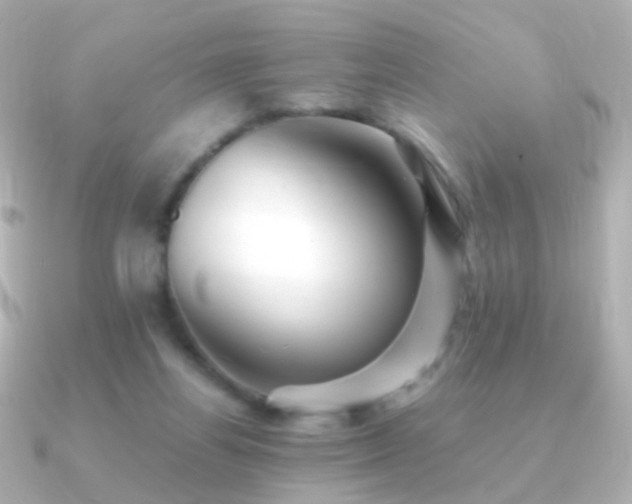 X0000091240164200708091442