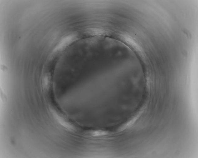 X0000091240165200708091442