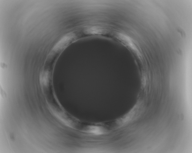 X0000091240167200708091442