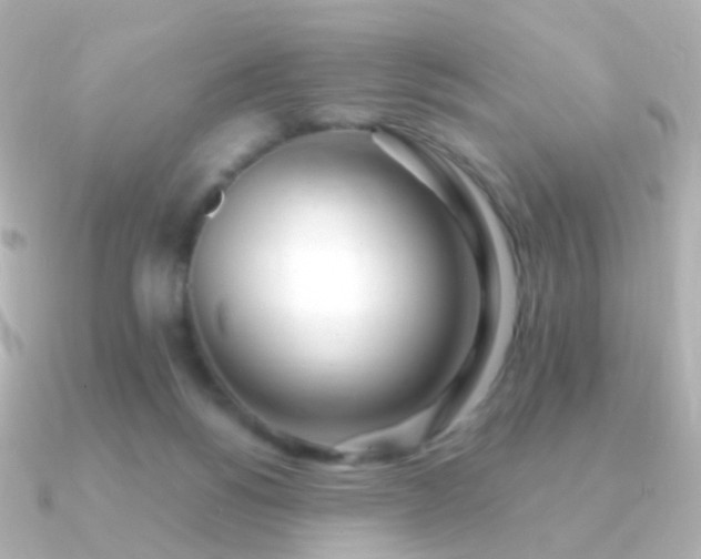 X0000091240168200708091442