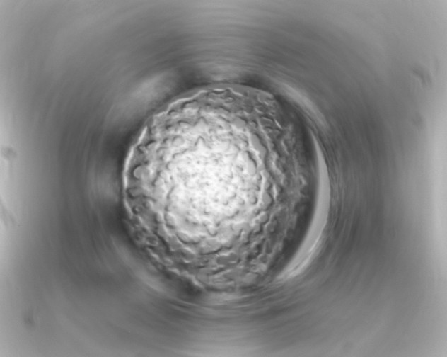 X0000091240170200708091442