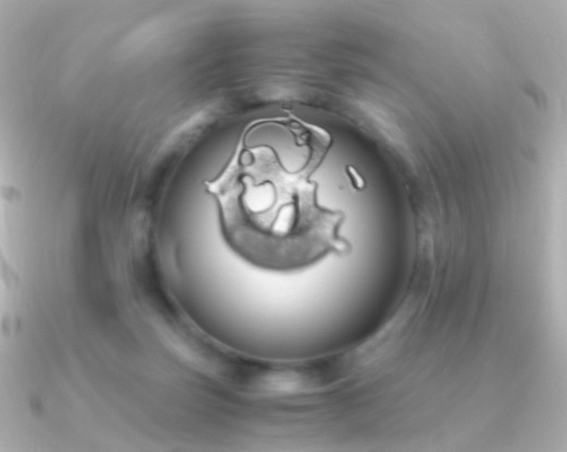 X0000091240171200708091442
