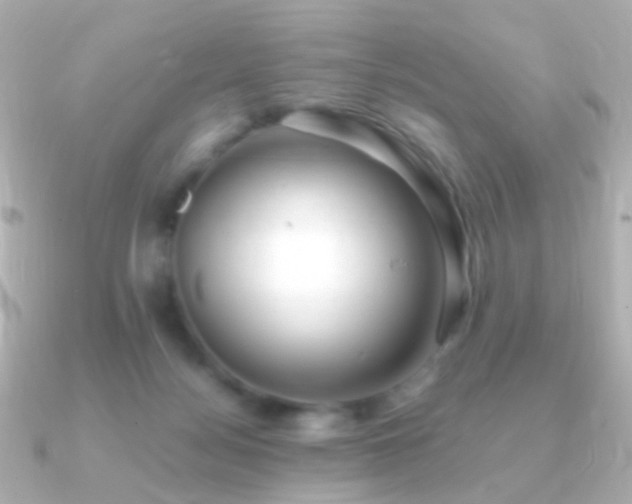 X0000091240172200708091442