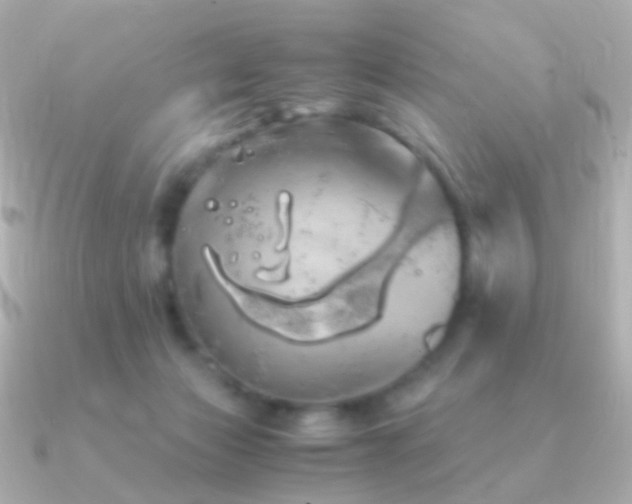 X0000091240173200708091442