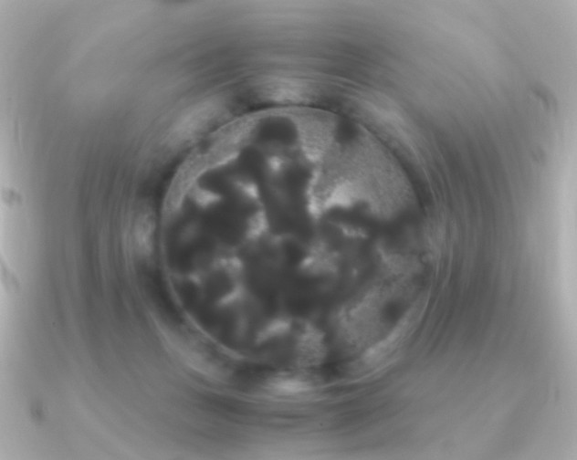X0000091240175200708091442