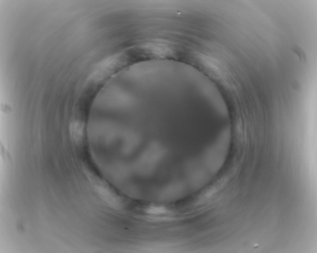 X0000091240177200708091442