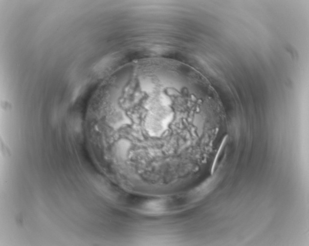 X0000091240178200708091442
