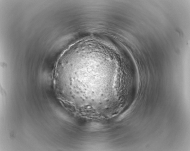 X0000091240180200708091442