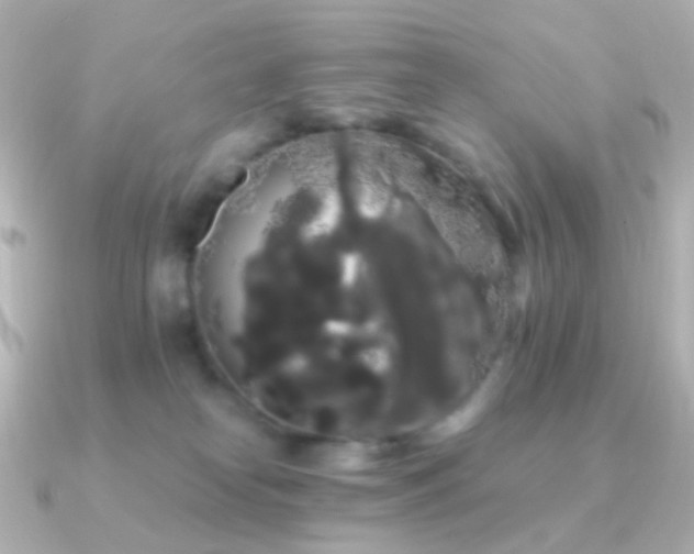 X0000091240182200708091442