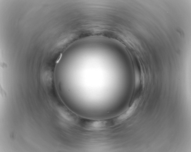 X0000091240184200708091442