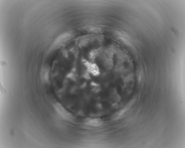 X0000091240185200708091442