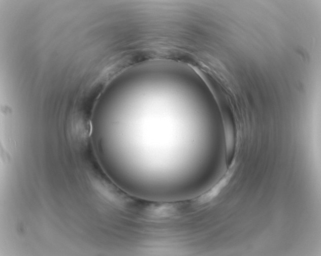 X0000091240186200708091442