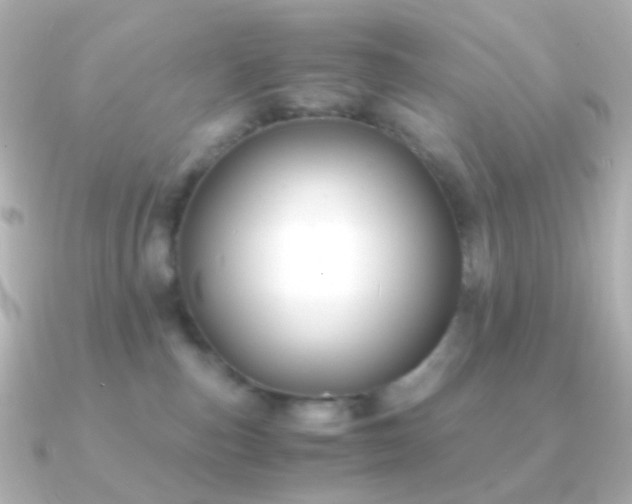 X0000091240187200708091442
