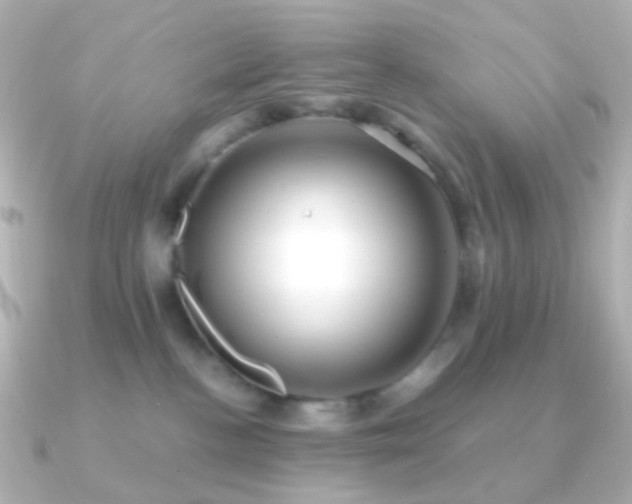 X0000091240188200708091442