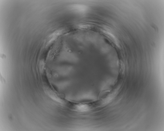X0000091240189200708091442