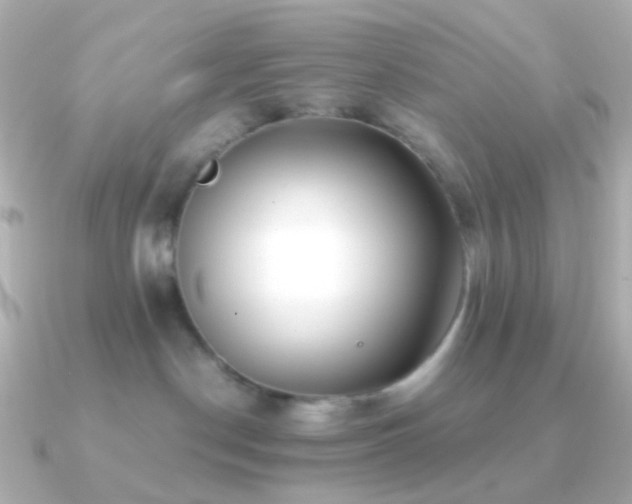 X0000091240190200708091442
