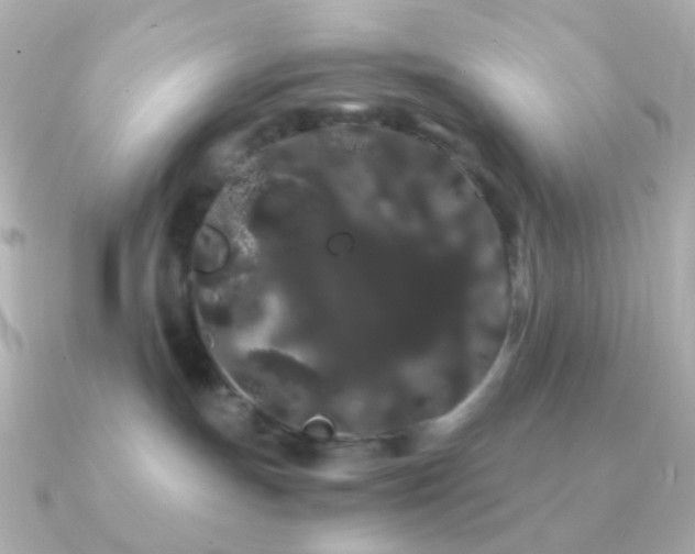 X0000091240191200708091442
