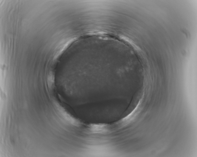 X0000091240192200708091442