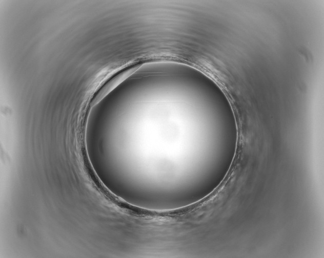 X0000091240193200708091441