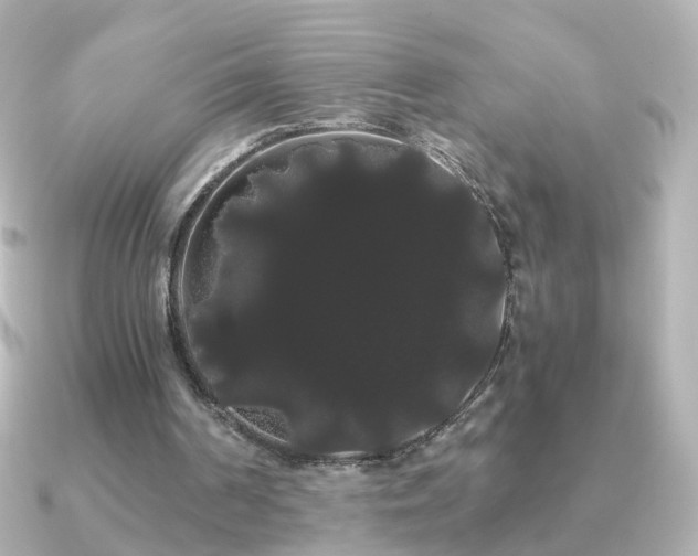 X0000091240194200708091441