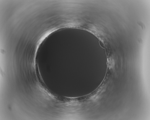 X0000091240196200708091441