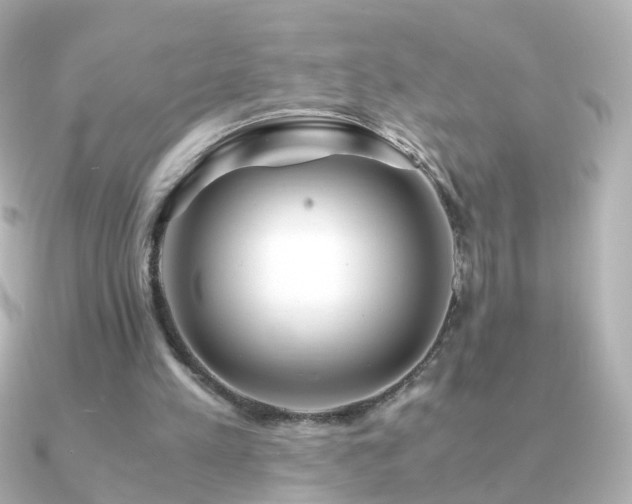 X0000091240197200708091441