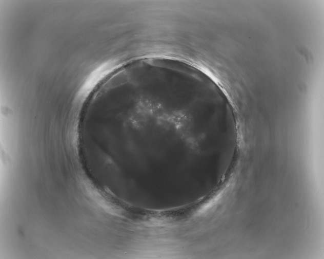 X0000091240199200708091441